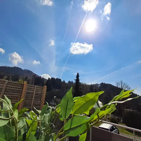 公寓 Smart Haus Smaragd Smaragd - Bergblick 温特贝格